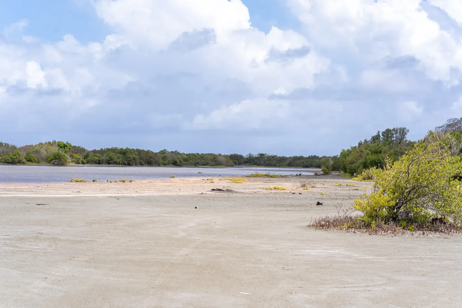 YAI Wellness Oasis grounds in Pondside, Yallahs, St. Thomas, Jamaica