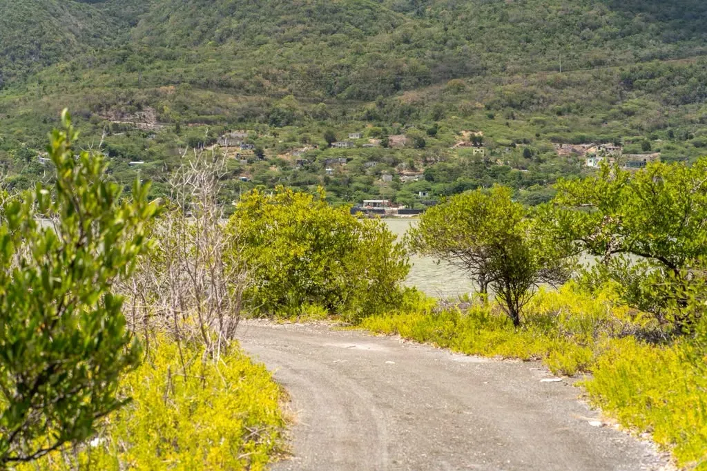 Green hills and a quiet country road in St. Thomas, Jamaica, near the YAI Wellness Oasis in Yallahs